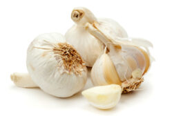 garlic