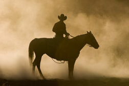 man on horse