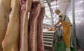 Butcher cutting meat on the Food Processing Plant