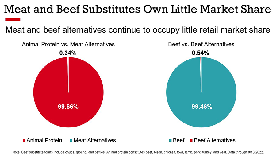 Meat and Beef alternatives