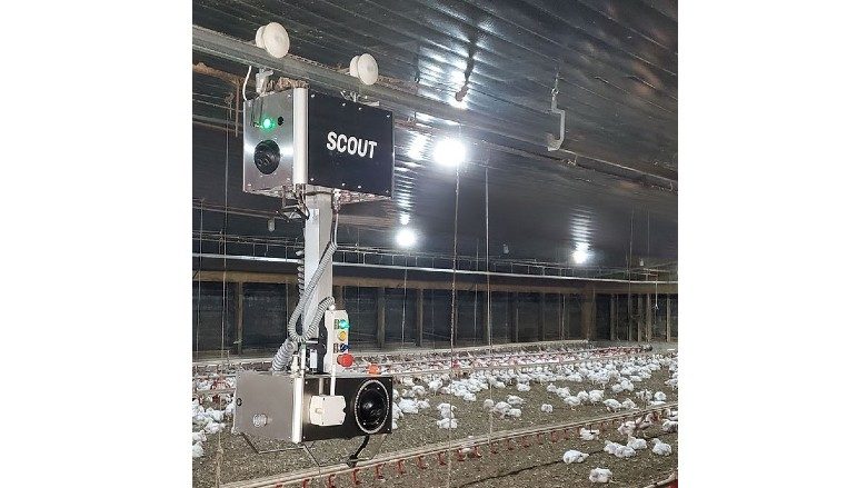 Cumberland Introduces Scout Robot To Promote Poultry Health And Performance The National 4308