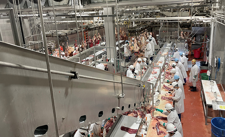 meat processing workforce