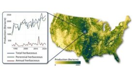 Producers and scientists can use RAP to examine vegetation patterns across space and through time.