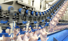 poultry processing