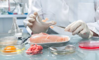 Quality control expert inspecting at food specimen in the laboratory