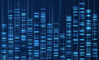 Genomic data visualization. Dna genome sequence, medical genetic map.