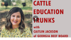 Cattle Education Trunks