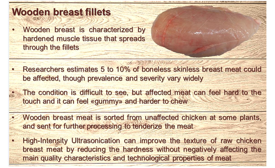 wooden breast fillets