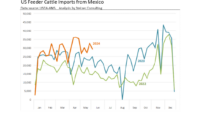 Beef market May 2024