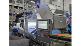 COMPASS optical sorter for individually quick-frozen products