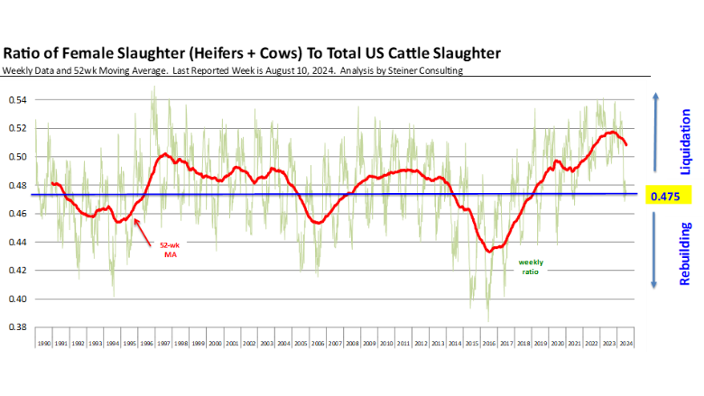 Beef supply trends August 2024