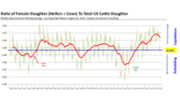 Beef supply trends August 2024