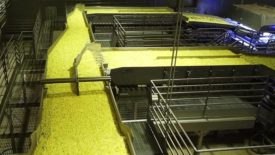 High-capacity vibratory conveyors from Key Technology