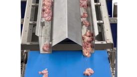 Key Technology poultry conveyor