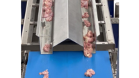 Key Technology poultry conveyor