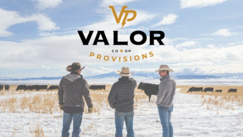 Valor Provisions