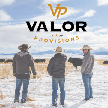 Valor Provisions.png