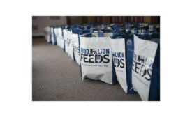 Food Lion donations