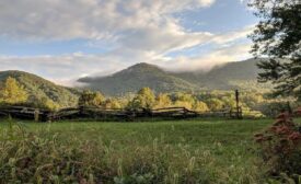 Hickory Nut Gap Earth Day