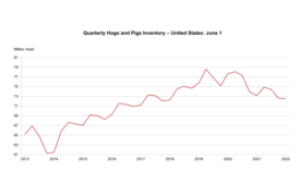 U.S. hog inventory decreases 1% compared to previous year