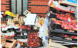 Discarded Food Waste