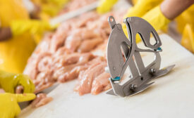 Poultry and Processing Equipment