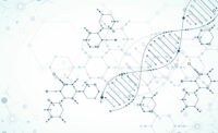 DNA Engineering