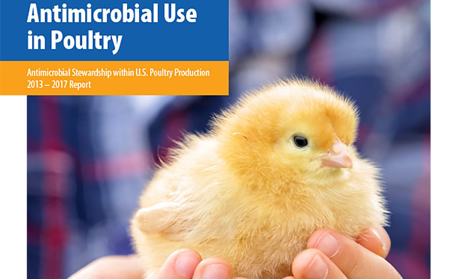Poultry industry releases antibiotic report 20190910 The National