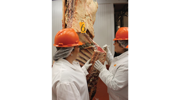 OSU faculty, alumni leave lasting mark on meat industry | 2014-06-04 ...