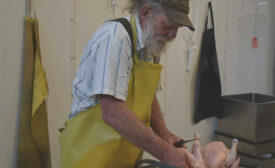 Kerry Olson Processes Chickens at Wagonhoffer Meats