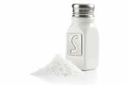 salt shaker